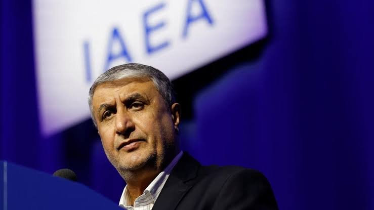 IRAN NUCLEAR CHIEF
