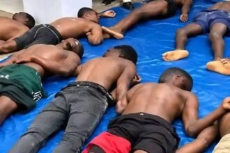 NIGER MINERS