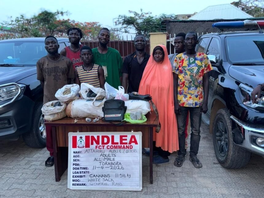 NDLEA