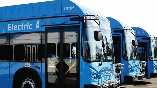 LAMATA ELECTRIC BUSES