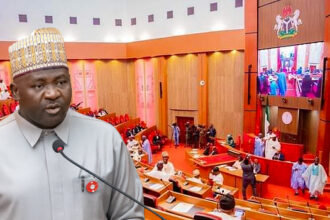 MUSA IN SENATE