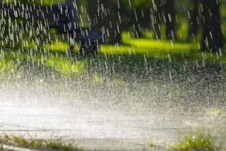 RAINWATER