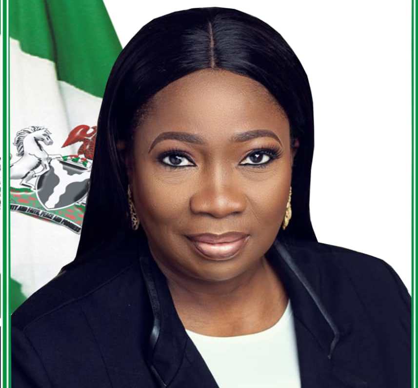 NIDCOM BOSS, DABIRI