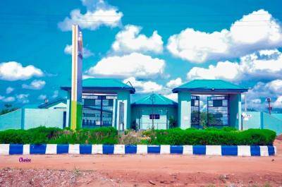 OGUN INSTITUTE OF TECH