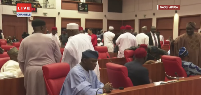 SENATE IN ROWDY SESSION