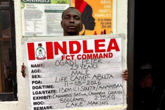 NDLEA