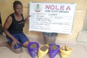 NDLEA