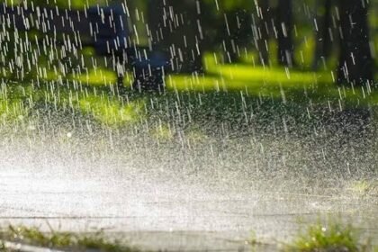 RAINWATER