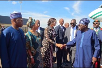 TINUBU CEO