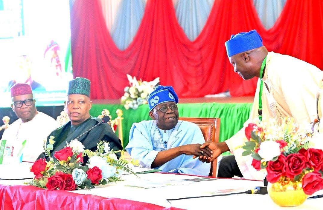 TINUBU YILWATDA