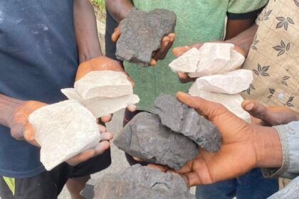 ILLEGAL MINERS
