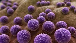 Antimicrobial Resistance