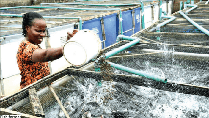 FISH FARMING