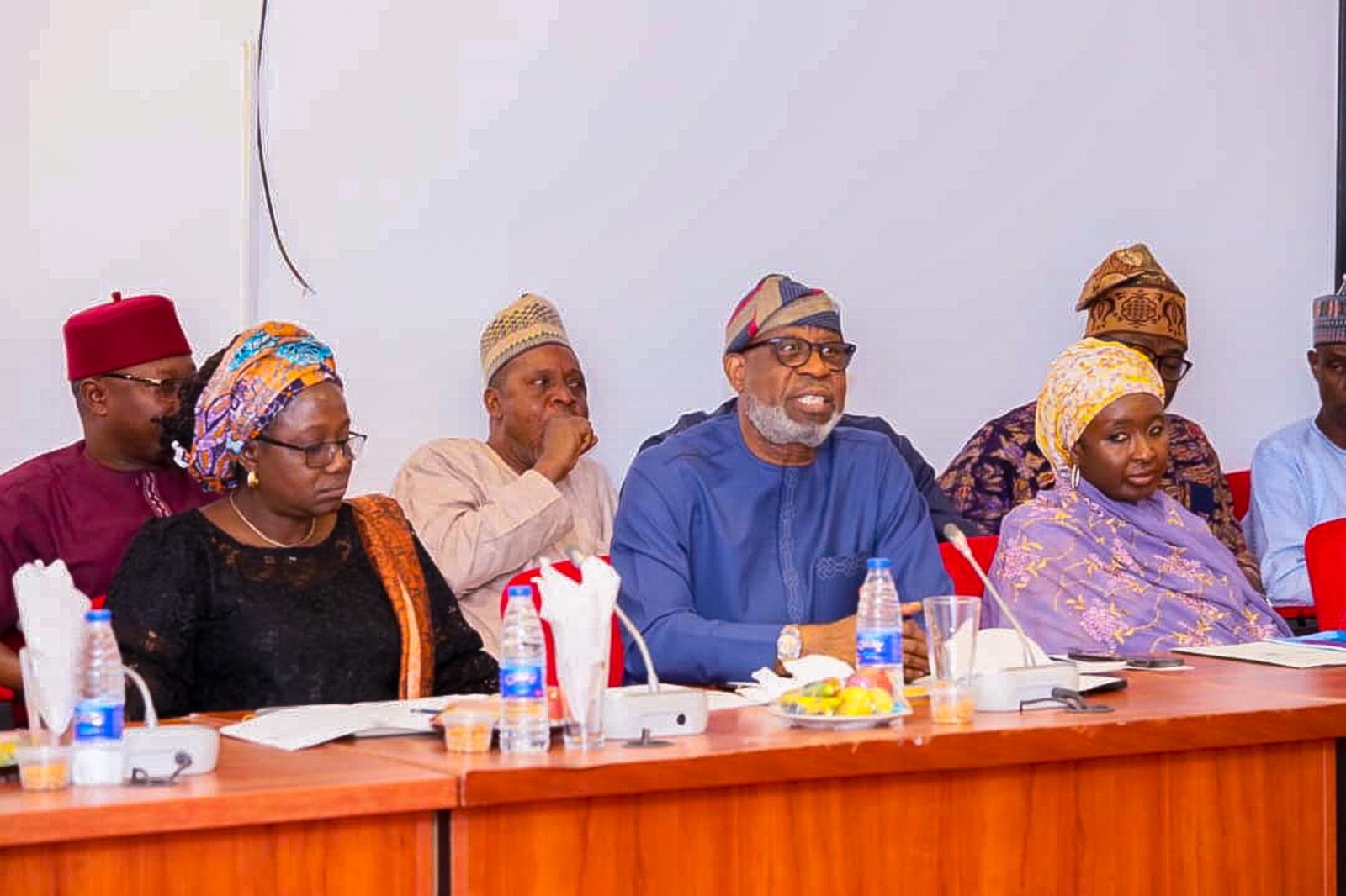 NASS ON SOLID MINERALS