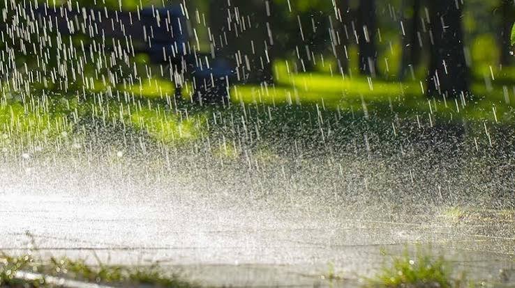 RAINWATER