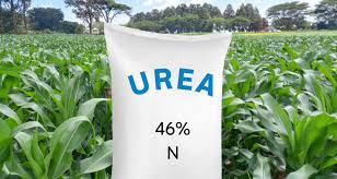 UREA