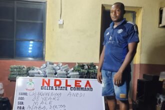 NDLEA