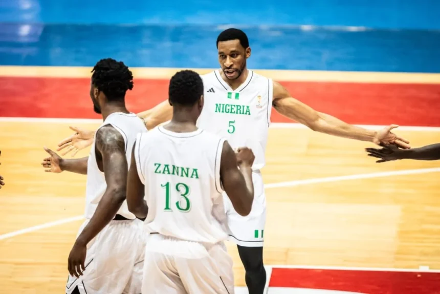 D'TIGERS