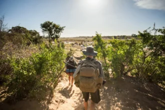 TOURISTS KILLED