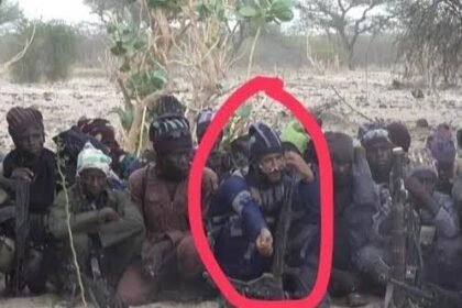 SOLDIERS KILL