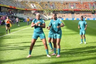 FALCONETS