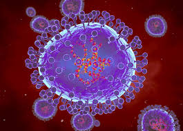HMPV VIRUS