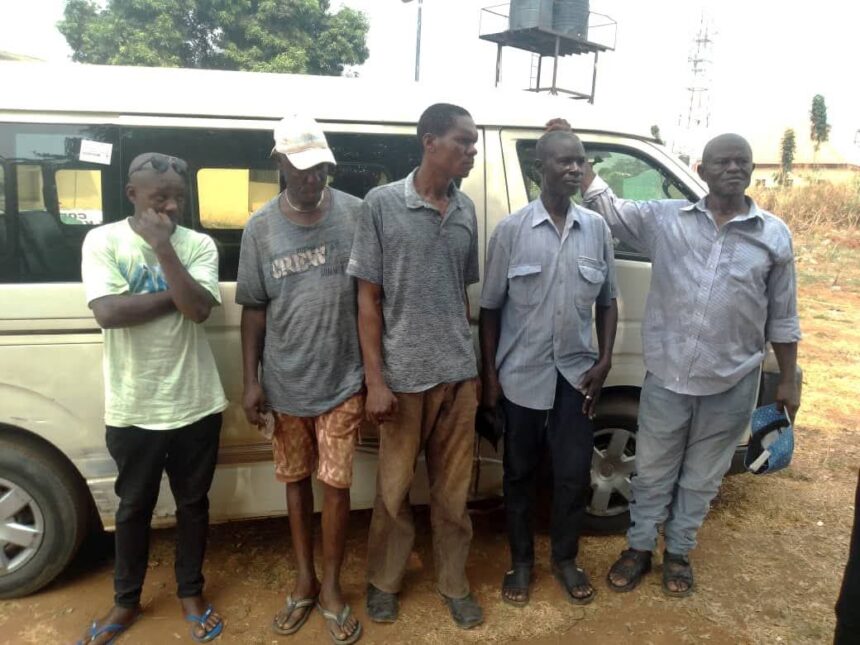 illegal revenue collectors